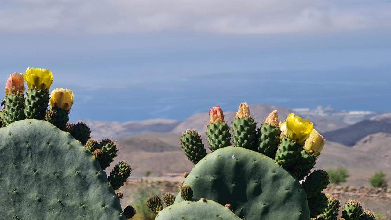 Puerto Rico Top Teide And Amadores View 外观 照片