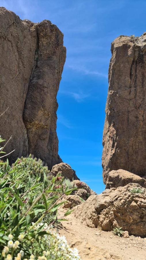Puerto Rico Top Teide And Amadores View 外观 照片