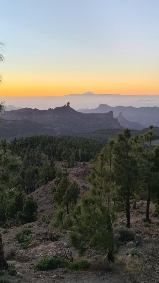 Puerto Rico Top Teide And Amadores View 外观 照片